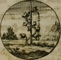 An illustration from Devises et emblemes anciennes & modernes, tirées des plus celebres auteurs, oder, Emblematische Gemüths-Vergnügung : bey Betrachtung siben hundert und funffzehen der curieusesten und ergötzlichen Sinn-Bildern, mit ihren zuständigen teutsch-lateinisch-französisch- und italianischen Beyschrifften (1695)