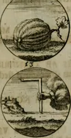 An illustration from Devises et emblemes anciennes & modernes, tirées des plus celebres auteurs, oder, Emblematische Gemüths-Vergnügung : bey Betrachtung siben hundert und funffzehen der curieusesten und ergötzlichen Sinn-Bildern, mit ihren zuständigen teutsch-lateinisch-französisch- und italianischen Beyschrifften (1695)