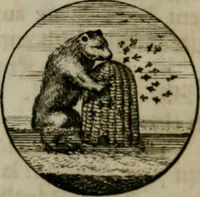 An illustration from Devises et emblemes anciennes & modernes, tirées des plus celebres auteurs, oder, Emblematische Gemüths-Vergnügung : bey Betrachtung siben hundert und funffzehen der curieusesten und ergötzlichen Sinn-Bildern, mit ihren zuständigen teutsch-lateinisch-französisch- und italianischen Beyschrifften (1695)