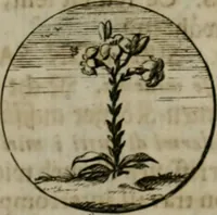 An illustration from Devises et emblemes anciennes & modernes, tirées des plus celebres auteurs, oder, Emblematische Gemüths-Vergnügung : bey Betrachtung siben hundert und funffzehen der curieusesten und ergötzlichen Sinn-Bildern, mit ihren zuständigen teutsch-lateinisch-französisch- und italianischen Beyschrifften (1695)