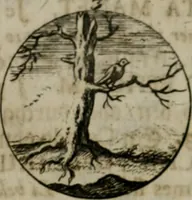 An illustration from Devises et emblemes anciennes & modernes, tirées des plus celebres auteurs, oder, Emblematische Gemüths-Vergnügung : bey Betrachtung siben hundert und funffzehen der curieusesten und ergötzlichen Sinn-Bildern, mit ihren zuständigen teutsch-lateinisch-französisch- und italianischen Beyschrifften (1695)