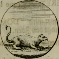 An illustration from Devises et emblemes anciennes & modernes, tirées des plus celebres auteurs, oder, Emblematische Gemüths-Vergnügung : bey Betrachtung siben hundert und funffzehen der curieusesten und ergötzlichen Sinn-Bildern, mit ihren zuständigen teutsch-lateinisch-französisch- und italianischen Beyschrifften (1695)