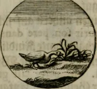 An illustration from Devises et emblemes anciennes & modernes, tirées des plus celebres auteurs, oder, Emblematische Gemüths-Vergnügung : bey Betrachtung siben hundert und funffzehen der curieusesten und ergötzlichen Sinn-Bildern, mit ihren zuständigen teutsch-lateinisch-französisch- und italianischen Beyschrifften (1695)