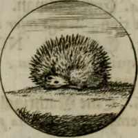 An illustration from Devises et emblemes anciennes & modernes, tirées des plus celebres auteurs, oder, Emblematische Gemüths-Vergnügung : bey Betrachtung siben hundert und funffzehen der curieusesten und ergötzlichen Sinn-Bildern, mit ihren zuständigen teutsch-lateinisch-französisch- und italianischen Beyschrifften (1695)