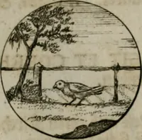 An illustration from Devises et emblemes anciennes & modernes, tirées des plus celebres auteurs, oder, Emblematische Gemüths-Vergnügung : bey Betrachtung siben hundert und funffzehen der curieusesten und ergötzlichen Sinn-Bildern, mit ihren zuständigen teutsch-lateinisch-französisch- und italianischen Beyschrifften (1695)