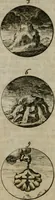 An illustration from Devises et emblemes anciennes & modernes, tirées des plus celebres auteurs, oder, Emblematische Gemüths-Vergnügung : bey Betrachtung siben hundert und funffzehen der curieusesten und ergötzlichen Sinn-Bildern, mit ihren zuständigen teutsch-lateinisch-französisch- und italianischen Beyschrifften (1695)