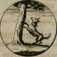 An illustration from Devises et emblemes anciennes & modernes, tirées des plus celebres auteurs, oder, Emblematische Gemüths-Vergnügung : bey Betrachtung siben hundert und funffzehen der curieusesten und ergötzlichen Sinn-Bildern, mit ihren zuständigen teutsch-lateinisch-französisch- und italianischen Beyschrifften (1695)