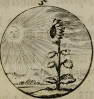 An illustration from Devises et emblemes anciennes & modernes, tirées des plus celebres auteurs, oder, Emblematische Gemüths-Vergnügung : bey Betrachtung siben hundert und funffzehen der curieusesten und ergötzlichen Sinn-Bildern, mit ihren zuständigen teutsch-lateinisch-französisch- und italianischen Beyschrifften (1695)