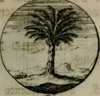 An illustration from Devises et emblemes anciennes & modernes, tirées des plus celebres auteurs, oder, Emblematische Gemüths-Vergnügung : bey Betrachtung siben hundert und funffzehen der curieusesten und ergötzlichen Sinn-Bildern, mit ihren zuständigen teutsch-lateinisch-französisch- und italianischen Beyschrifften (1695)