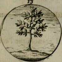 An illustration from Devises et emblemes anciennes & modernes, tirées des plus celebres auteurs, oder, Emblematische Gemüths-Vergnügung : bey Betrachtung siben hundert und funffzehen der curieusesten und ergötzlichen Sinn-Bildern, mit ihren zuständigen teutsch-lateinisch-französisch- und italianischen Beyschrifften (1695)