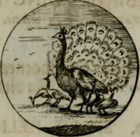 An illustration from Devises et emblemes anciennes & modernes, tirées des plus celebres auteurs, oder, Emblematische Gemüths-Vergnügung : bey Betrachtung siben hundert und funffzehen der curieusesten und ergötzlichen Sinn-Bildern, mit ihren zuständigen teutsch-lateinisch-französisch- und italianischen Beyschrifften (1695)