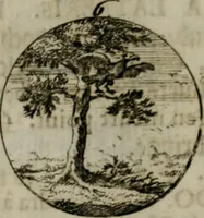 An illustration from Devises et emblemes anciennes & modernes, tirées des plus celebres auteurs, oder, Emblematische Gemüths-Vergnügung : bey Betrachtung siben hundert und funffzehen der curieusesten und ergötzlichen Sinn-Bildern, mit ihren zuständigen teutsch-lateinisch-französisch- und italianischen Beyschrifften (1695)