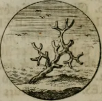 An illustration from Devises et emblemes anciennes & modernes, tirées des plus celebres auteurs, oder, Emblematische Gemüths-Vergnügung : bey Betrachtung siben hundert und funffzehen der curieusesten und ergötzlichen Sinn-Bildern, mit ihren zuständigen teutsch-lateinisch-französisch- und italianischen Beyschrifften (1695)