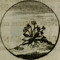 An illustration from Devises et emblemes anciennes & modernes, tirées des plus celebres auteurs, oder, Emblematische Gemüths-Vergnügung : bey Betrachtung siben hundert und funffzehen der curieusesten und ergötzlichen Sinn-Bildern, mit ihren zuständigen teutsch-lateinisch-französisch- und italianischen Beyschrifften (1695)