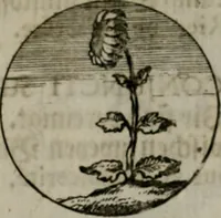An illustration from Devises et emblemes anciennes & modernes, tirées des plus celebres auteurs, oder, Emblematische Gemüths-Vergnügung : bey Betrachtung siben hundert und funffzehen der curieusesten und ergötzlichen Sinn-Bildern, mit ihren zuständigen teutsch-lateinisch-französisch- und italianischen Beyschrifften (1695)