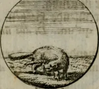 An illustration from Devises et emblemes anciennes & modernes, tirées des plus celebres auteurs, oder, Emblematische Gemüths-Vergnügung : bey Betrachtung siben hundert und funffzehen der curieusesten und ergötzlichen Sinn-Bildern, mit ihren zuständigen teutsch-lateinisch-französisch- und italianischen Beyschrifften (1695)