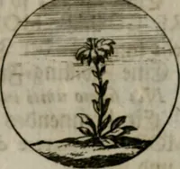 An illustration from Devises et emblemes anciennes & modernes, tirées des plus celebres auteurs, oder, Emblematische Gemüths-Vergnügung : bey Betrachtung siben hundert und funffzehen der curieusesten und ergötzlichen Sinn-Bildern, mit ihren zuständigen teutsch-lateinisch-französisch- und italianischen Beyschrifften (1695)