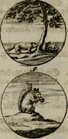 An illustration from Devises et emblemes anciennes & modernes, tirées des plus celebres auteurs, oder, Emblematische Gemüths-Vergnügung : bey Betrachtung siben hundert und funffzehen der curieusesten und ergötzlichen Sinn-Bildern, mit ihren zuständigen teutsch-lateinisch-französisch- und italianischen Beyschrifften (1695)
