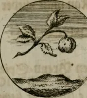An illustration from Devises et emblemes anciennes & modernes, tirées des plus celebres auteurs, oder, Emblematische Gemüths-Vergnügung : bey Betrachtung siben hundert und funffzehen der curieusesten und ergötzlichen Sinn-Bildern, mit ihren zuständigen teutsch-lateinisch-französisch- und italianischen Beyschrifften (1695)