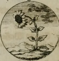 An illustration from Devises et emblemes anciennes & modernes, tirées des plus celebres auteurs, oder, Emblematische Gemüths-Vergnügung : bey Betrachtung siben hundert und funffzehen der curieusesten und ergötzlichen Sinn-Bildern, mit ihren zuständigen teutsch-lateinisch-französisch- und italianischen Beyschrifften (1695)