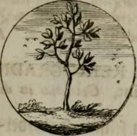 An illustration from Devises et emblemes anciennes & modernes, tirées des plus celebres auteurs, oder, Emblematische Gemüths-Vergnügung : bey Betrachtung siben hundert und funffzehen der curieusesten und ergötzlichen Sinn-Bildern, mit ihren zuständigen teutsch-lateinisch-französisch- und italianischen Beyschrifften (1695)