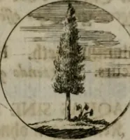 An illustration from Devises et emblemes anciennes & modernes, tirées des plus celebres auteurs, oder, Emblematische Gemüths-Vergnügung : bey Betrachtung siben hundert und funffzehen der curieusesten und ergötzlichen Sinn-Bildern, mit ihren zuständigen teutsch-lateinisch-französisch- und italianischen Beyschrifften (1695)