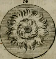 An illustration from Devises et emblemes anciennes & modernes, tirées des plus celebres auteurs, oder, Emblematische Gemüths-Vergnügung : bey Betrachtung siben hundert und funffzehen der curieusesten und ergötzlichen Sinn-Bildern, mit ihren zuständigen teutsch-lateinisch-französisch- und italianischen Beyschrifften (1695)