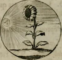 An illustration from Devises et emblemes anciennes & modernes, tirées des plus celebres auteurs, oder, Emblematische Gemüths-Vergnügung : bey Betrachtung siben hundert und funffzehen der curieusesten und ergötzlichen Sinn-Bildern, mit ihren zuständigen teutsch-lateinisch-französisch- und italianischen Beyschrifften (1695)