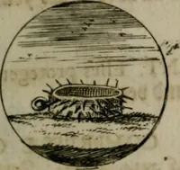 An illustration from Devises et emblemes anciennes & modernes, tirées des plus celebres auteurs, oder, Emblematische Gemüths-Vergnügung : bey Betrachtung siben hundert und funffzehen der curieusesten und ergötzlichen Sinn-Bildern, mit ihren zuständigen teutsch-lateinisch-französisch- und italianischen Beyschrifften (1695)