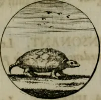 An illustration from Devises et emblemes anciennes & modernes, tirées des plus celebres auteurs, oder, Emblematische Gemüths-Vergnügung : bey Betrachtung siben hundert und funffzehen der curieusesten und ergötzlichen Sinn-Bildern, mit ihren zuständigen teutsch-lateinisch-französisch- und italianischen Beyschrifften (1695)