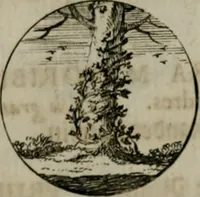 An illustration from Devises et emblemes anciennes & modernes, tirées des plus celebres auteurs, oder, Emblematische Gemüths-Vergnügung : bey Betrachtung siben hundert und funffzehen der curieusesten und ergötzlichen Sinn-Bildern, mit ihren zuständigen teutsch-lateinisch-französisch- und italianischen Beyschrifften (1695)