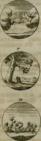 An illustration from Devises et emblemes anciennes & modernes, tirées des plus celebres auteurs, oder, Emblematische Gemüths-Vergnügung : bey Betrachtung siben hundert und funffzehen der curieusesten und ergötzlichen Sinn-Bildern, mit ihren zuständigen teutsch-lateinisch-französisch- und italianischen Beyschrifften (1695)
