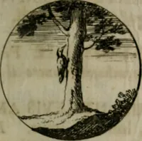 An illustration from Devises et emblemes anciennes & modernes, tirées des plus celebres auteurs, oder, Emblematische Gemüths-Vergnügung : bey Betrachtung siben hundert und funffzehen der curieusesten und ergötzlichen Sinn-Bildern, mit ihren zuständigen teutsch-lateinisch-französisch- und italianischen Beyschrifften (1695)