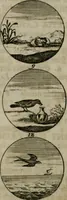 An illustration from Devises et emblemes anciennes & modernes, tirées des plus celebres auteurs, oder, Emblematische Gemüths-Vergnügung : bey Betrachtung siben hundert und funffzehen der curieusesten und ergötzlichen Sinn-Bildern, mit ihren zuständigen teutsch-lateinisch-französisch- und italianischen Beyschrifften (1695)