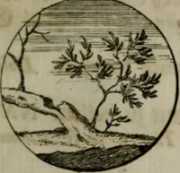 An illustration from Devises et emblemes anciennes & modernes, tirées des plus celebres auteurs, oder, Emblematische Gemüths-Vergnügung : bey Betrachtung siben hundert und funffzehen der curieusesten und ergötzlichen Sinn-Bildern, mit ihren zuständigen teutsch-lateinisch-französisch- und italianischen Beyschrifften (1695)