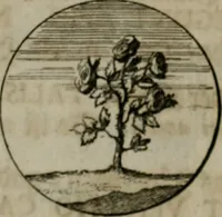 An illustration from Devises et emblemes anciennes & modernes, tirées des plus celebres auteurs, oder, Emblematische Gemüths-Vergnügung : bey Betrachtung siben hundert und funffzehen der curieusesten und ergötzlichen Sinn-Bildern, mit ihren zuständigen teutsch-lateinisch-französisch- und italianischen Beyschrifften (1695)