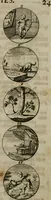 An illustration from Devises et emblemes anciennes & modernes, tirées des plus celebres auteurs, oder, Emblematische Gemüths-Vergnügung : bey Betrachtung siben hundert und funffzehen der curieusesten und ergötzlichen Sinn-Bildern, mit ihren zuständigen teutsch-lateinisch-französisch- und italianischen Beyschrifften (1695)