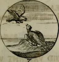 An illustration from Devises et emblemes anciennes & modernes, tirées des plus celebres auteurs, oder, Emblematische Gemüths-Vergnügung : bey Betrachtung siben hundert und funffzehen der curieusesten und ergötzlichen Sinn-Bildern, mit ihren zuständigen teutsch-lateinisch-französisch- und italianischen Beyschrifften (1695)