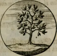 An illustration from Devises et emblemes anciennes & modernes, tirées des plus celebres auteurs, oder, Emblematische Gemüths-Vergnügung : bey Betrachtung siben hundert und funffzehen der curieusesten und ergötzlichen Sinn-Bildern, mit ihren zuständigen teutsch-lateinisch-französisch- und italianischen Beyschrifften (1695)