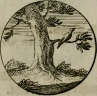 An illustration from Devises et emblemes anciennes & modernes, tirées des plus celebres auteurs, oder, Emblematische Gemüths-Vergnügung : bey Betrachtung siben hundert und funffzehen der curieusesten und ergötzlichen Sinn-Bildern, mit ihren zuständigen teutsch-lateinisch-französisch- und italianischen Beyschrifften (1695)