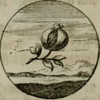 An illustration from Devises et emblemes anciennes & modernes, tirées des plus celebres auteurs, oder, Emblematische Gemüths-Vergnügung : bey Betrachtung siben hundert und funffzehen der curieusesten und ergötzlichen Sinn-Bildern, mit ihren zuständigen teutsch-lateinisch-französisch- und italianischen Beyschrifften (1695)