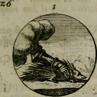 An illustration from Devises et emblemes anciennes & modernes, tirées des plus celebres auteurs, oder, Emblematische Gemüths-Vergnügung : bey Betrachtung siben hundert und funffzehen der curieusesten und ergötzlichen Sinn-Bildern, mit ihren zuständigen teutsch-lateinisch-französisch- und italianischen Beyschrifften (1695)