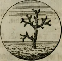 An illustration from Devises et emblemes anciennes & modernes, tirées des plus celebres auteurs, oder, Emblematische Gemüths-Vergnügung : bey Betrachtung siben hundert und funffzehen der curieusesten und ergötzlichen Sinn-Bildern, mit ihren zuständigen teutsch-lateinisch-französisch- und italianischen Beyschrifften (1695)