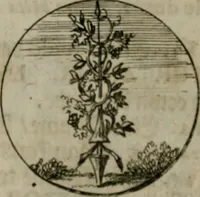 An illustration from Devises et emblemes anciennes & modernes, tirées des plus celebres auteurs, oder, Emblematische Gemüths-Vergnügung : bey Betrachtung siben hundert und funffzehen der curieusesten und ergötzlichen Sinn-Bildern, mit ihren zuständigen teutsch-lateinisch-französisch- und italianischen Beyschrifften (1695)
