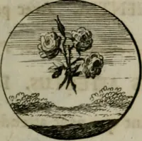 An illustration from Devises et emblemes anciennes & modernes, tirées des plus celebres auteurs, oder, Emblematische Gemüths-Vergnügung : bey Betrachtung siben hundert und funffzehen der curieusesten und ergötzlichen Sinn-Bildern, mit ihren zuständigen teutsch-lateinisch-französisch- und italianischen Beyschrifften (1695)