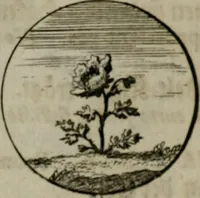 An illustration from Devises et emblemes anciennes & modernes, tirées des plus celebres auteurs, oder, Emblematische Gemüths-Vergnügung : bey Betrachtung siben hundert und funffzehen der curieusesten und ergötzlichen Sinn-Bildern, mit ihren zuständigen teutsch-lateinisch-französisch- und italianischen Beyschrifften (1695)