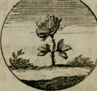 An illustration from Devises et emblemes anciennes & modernes, tirées des plus celebres auteurs, oder, Emblematische Gemüths-Vergnügung : bey Betrachtung siben hundert und funffzehen der curieusesten und ergötzlichen Sinn-Bildern, mit ihren zuständigen teutsch-lateinisch-französisch- und italianischen Beyschrifften (1695)