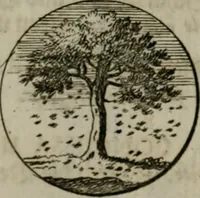 An illustration from Devises et emblemes anciennes & modernes, tirées des plus celebres auteurs, oder, Emblematische Gemüths-Vergnügung : bey Betrachtung siben hundert und funffzehen der curieusesten und ergötzlichen Sinn-Bildern, mit ihren zuständigen teutsch-lateinisch-französisch- und italianischen Beyschrifften (1695)