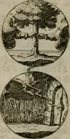 An illustration from Devises et emblemes anciennes & modernes, tirées des plus celebres auteurs, oder, Emblematische Gemüths-Vergnügung : bey Betrachtung siben hundert und funffzehen der curieusesten und ergötzlichen Sinn-Bildern, mit ihren zuständigen teutsch-lateinisch-französisch- und italianischen Beyschrifften (1695)