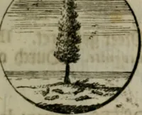 An illustration from Devises et emblemes anciennes & modernes, tirées des plus celebres auteurs, oder, Emblematische Gemüths-Vergnügung : bey Betrachtung siben hundert und funffzehen der curieusesten und ergötzlichen Sinn-Bildern, mit ihren zuständigen teutsch-lateinisch-französisch- und italianischen Beyschrifften (1695)